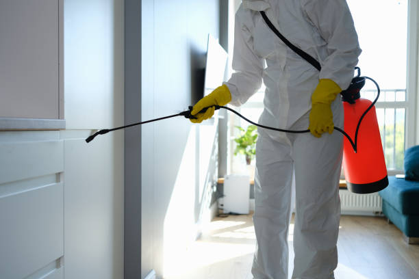 Best Toxic Mold Removal  in Elizabeth, CO