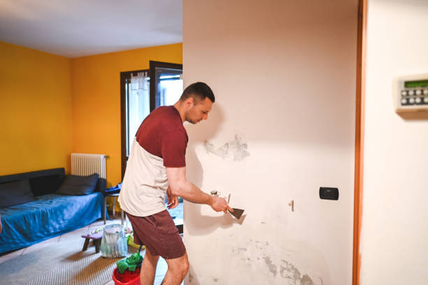Best Fast Mold Removal  in Elizabeth, CO